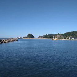 最初だけは好調